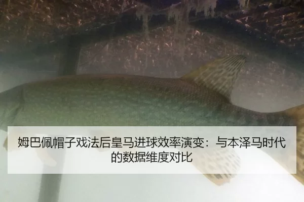 姆巴佩帽子戏法后皇马进球效率演变：与本泽马时代的数据维度对比